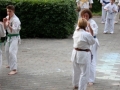 Opvisning-jaegerhytten-Birkeroed-2010 (192)