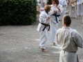 Opvisning-jaegerhytten-Birkeroed-2010 (198)