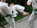 Opvisning-jaegerhytten-Birkeroed-2010 (201)
