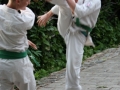 Opvisning-jaegerhytten-Birkeroed-2010 (202)
