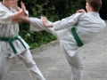 Opvisning-jaegerhytten-Birkeroed-2010 (205)
