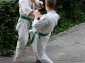 Opvisning-jaegerhytten-Birkeroed-2010 (206)