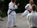 Opvisning-jaegerhytten-Birkeroed-2010 (208)