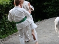 Opvisning-jaegerhytten-Birkeroed-2010 (212)