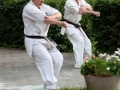 Opvisning-jaegerhytten-Birkeroed-2010 (230)
