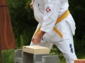 Opvisning-jaegerhytten-Birkeroed-2010 (258)
