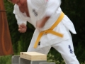 Opvisning-jaegerhytten-Birkeroed-2010 (259)