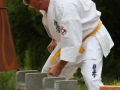 Opvisning-jaegerhytten-Birkeroed-2010 (261)