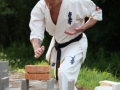 Opvisning-jaegerhytten-Birkeroed-2010 (271)