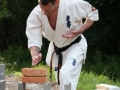 Opvisning-jaegerhytten-Birkeroed-2010 (272)