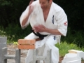 Opvisning-jaegerhytten-Birkeroed-2010 (273)