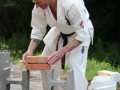 Opvisning-jaegerhytten-Birkeroed-2010 (276)