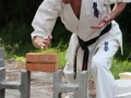 Opvisning-jaegerhytten-Birkeroed-2010 (282)