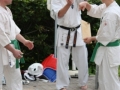 Opvisning-jaegerhytten-Birkeroed-2010 (287)