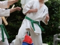 Opvisning-jaegerhytten-Birkeroed-2010 (292)