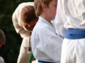 Opvisning-jaegerhytten-Birkeroed-2010 (360)