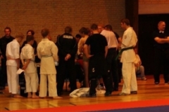 Roskilde Cup 2011