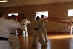 Shihan-Brian-Fitkin-2