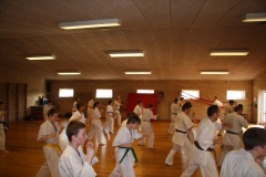 Shihan-Brian-Fitkin-4