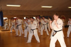 Shihan-Brian-Fitkin-5